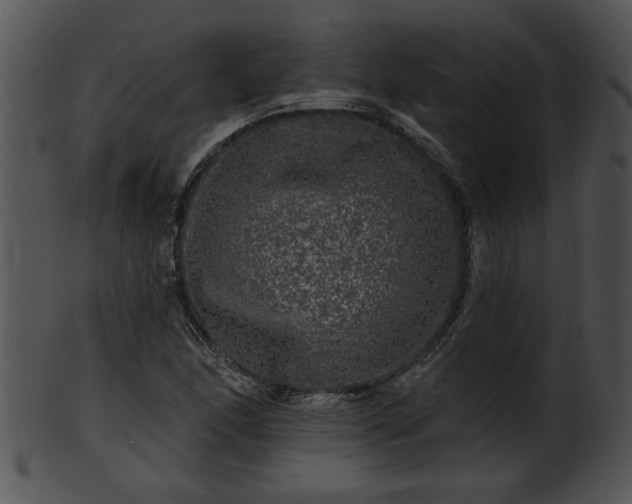 X0000101451166200807141237