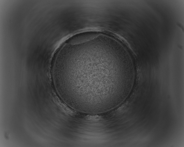 X0000101451168200807141237