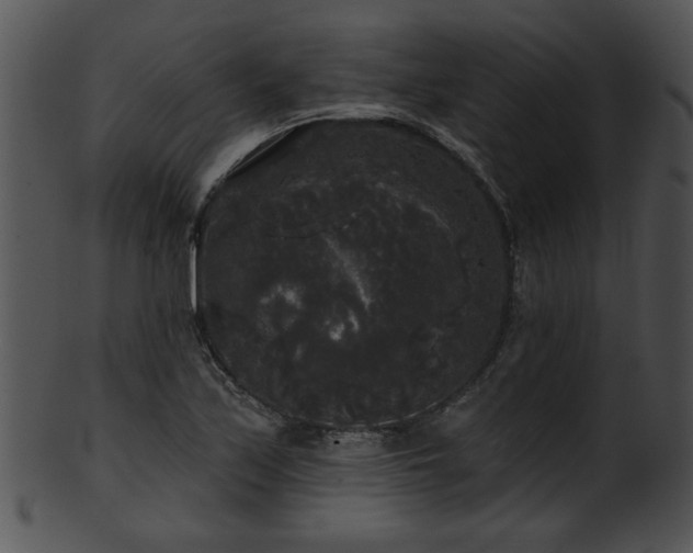 X0000101451171200807141237