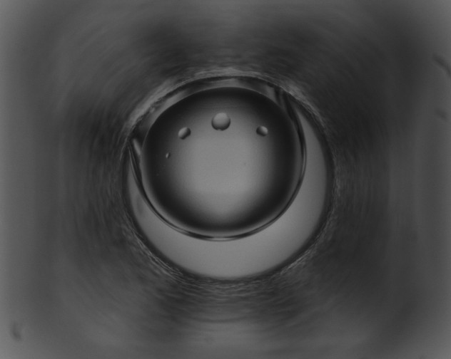 X0000101451173200807141237