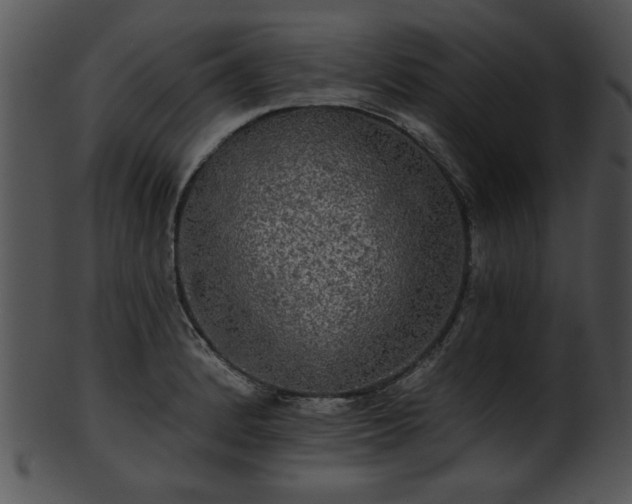 X0000101451184200807141237