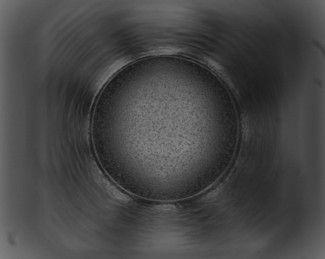 X0000101451186200807141237