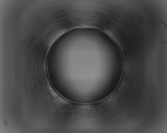 X0000101451189200807141237