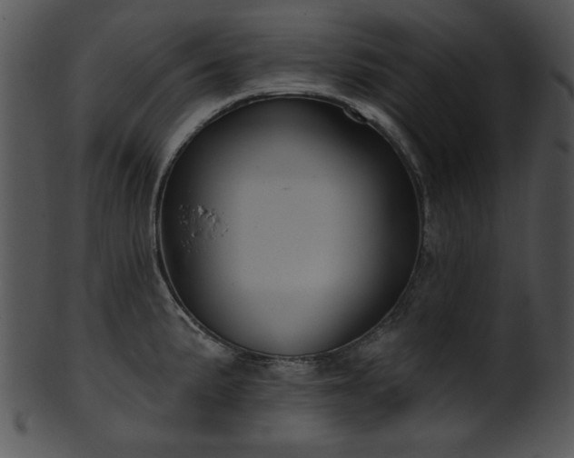 X0000101451191200807141237