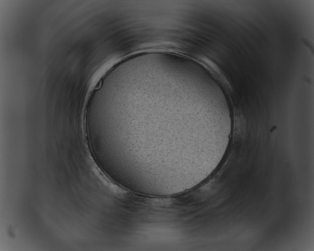 X0000101451196200807141237