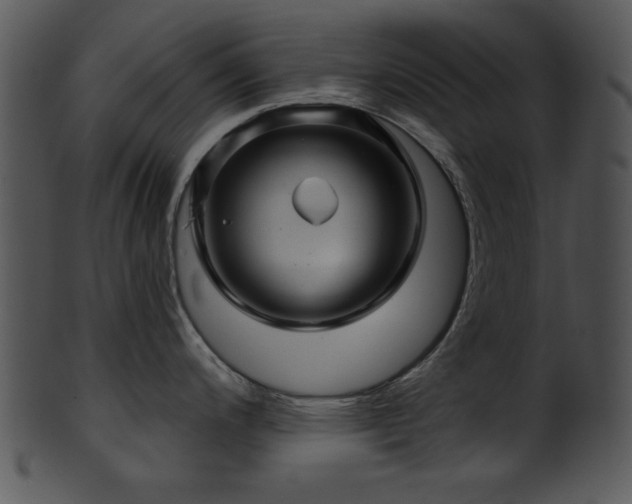 X0000101451200200807141236