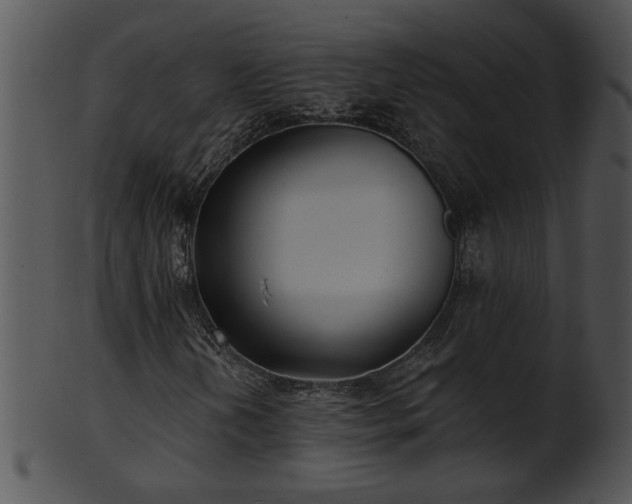 X0000101451202200807141236