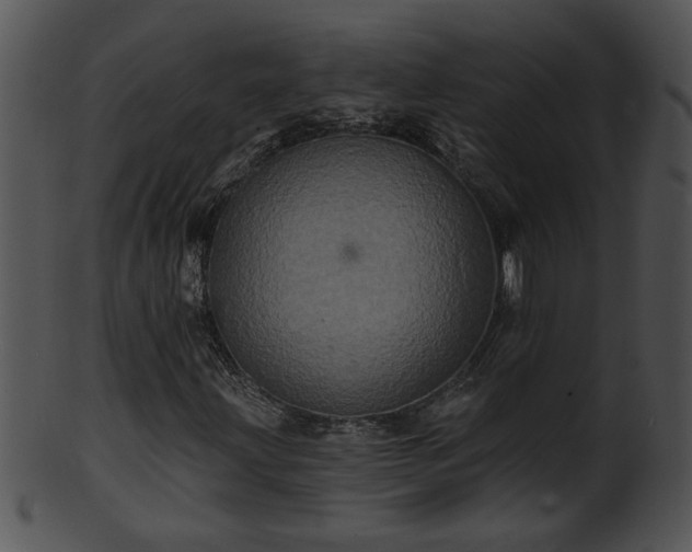 X0000101451203200807141236