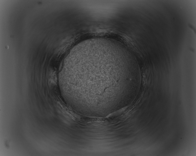 X0000101451204200807141236