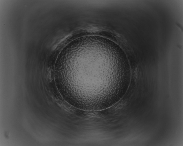 X0000101451205200807141236