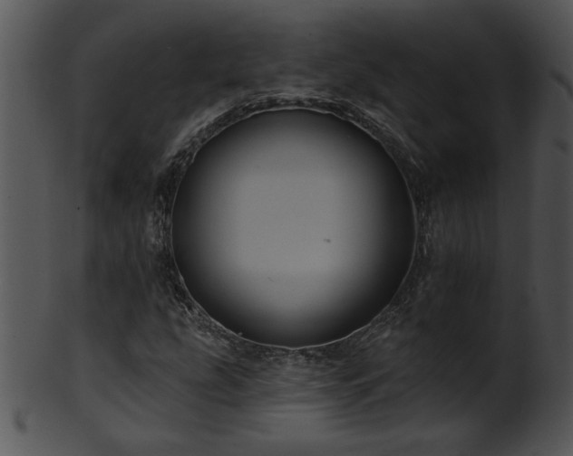 X0000101451207200807141236