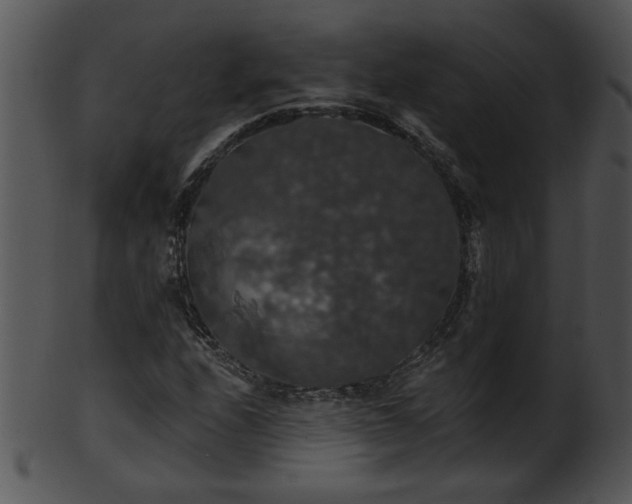 X0000101451208200807141236