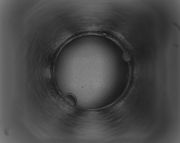 X0000101451209200807141236