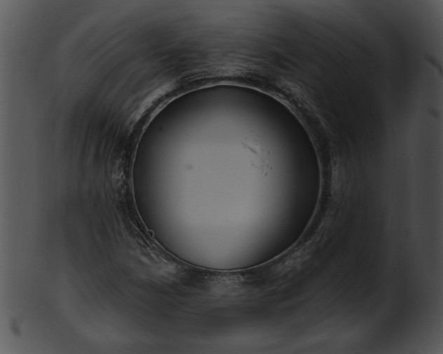 X0000101451210200807141236