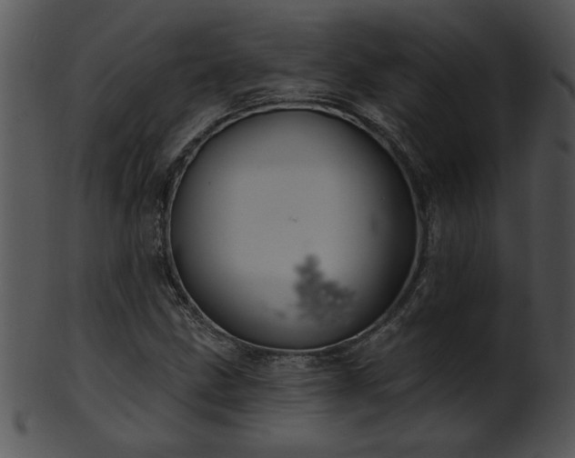 X0000101451211200807141236