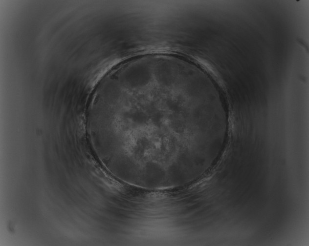 X0000101451212200807141236