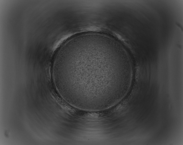 X0000101451214200807141236