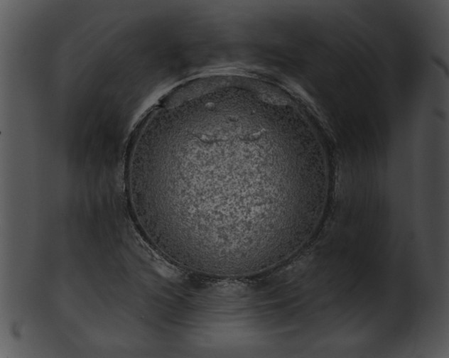 X0000101451216200807141236