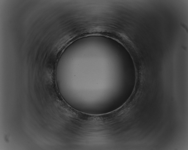 X0000101451217200807141236