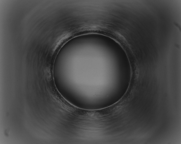 X0000101451218200807141236