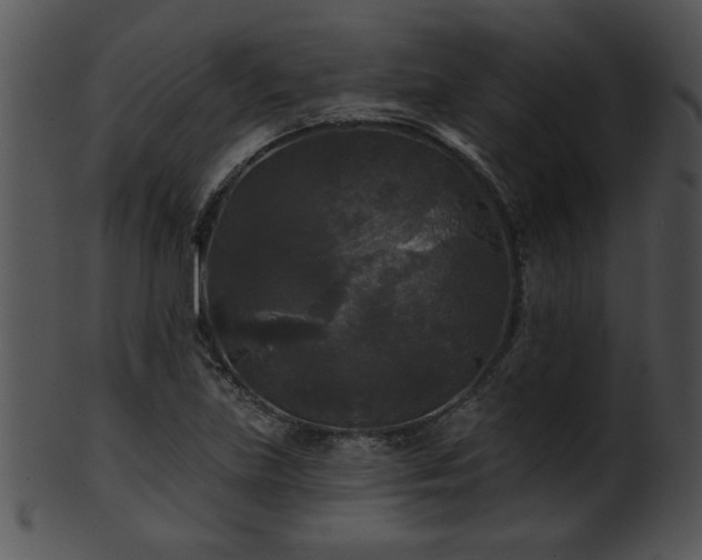 X0000101451219200807141236