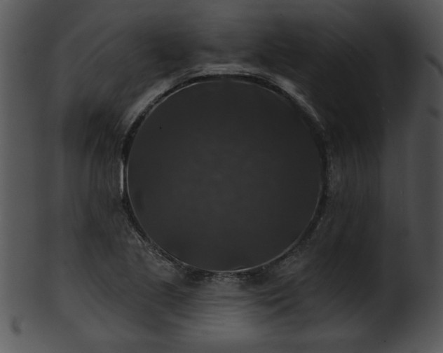 X0000101451221200807141236