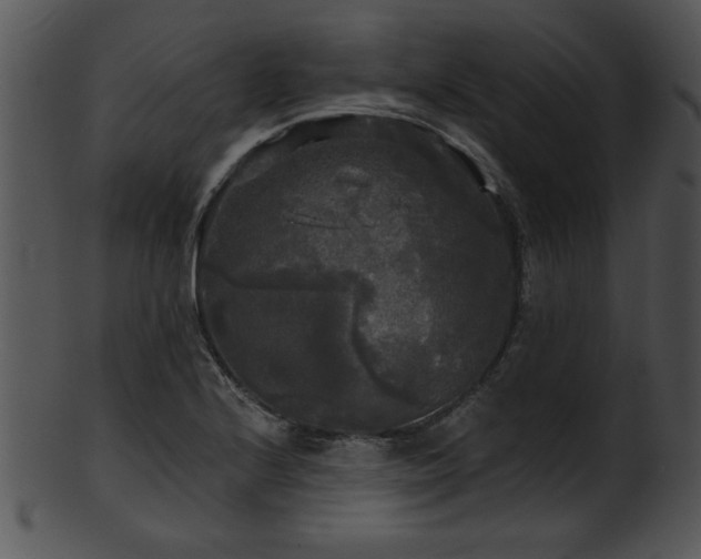 X0000101451224200807141236