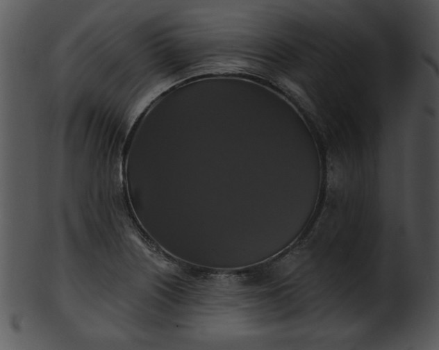 X0000101451226200807141236