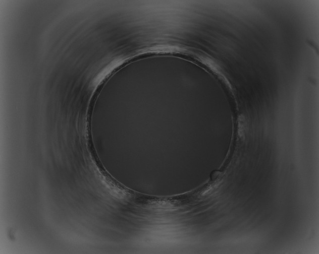 X0000101451229200807141236