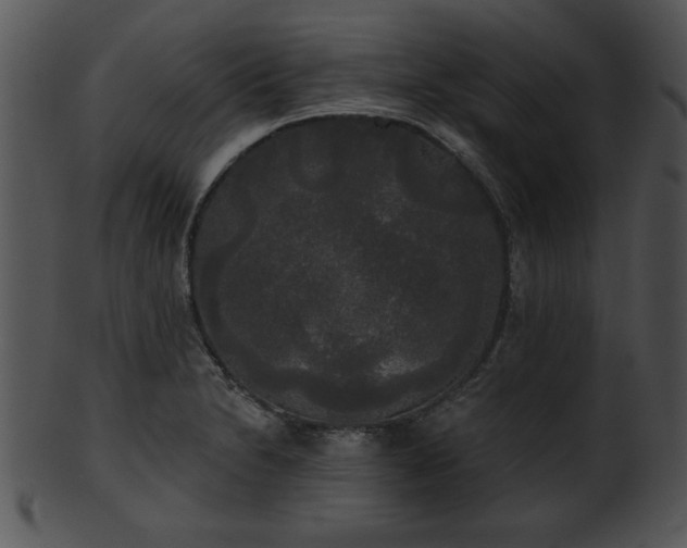 X0000101451230200807141236