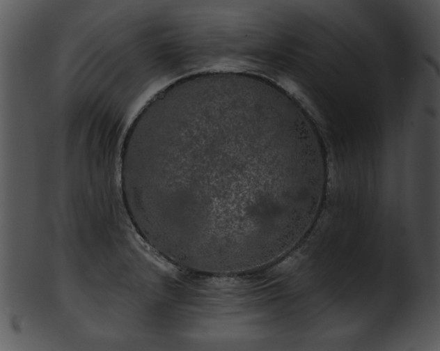 X0000101451232200807141236