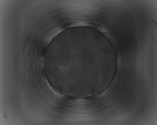 X0000101451233200807141236