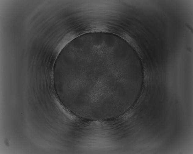 X0000101451234200807141236