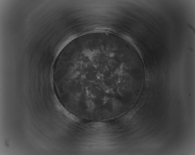 X0000101451235200807141236