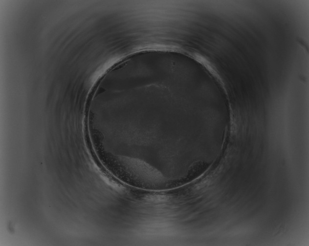 X0000101451237200807141236