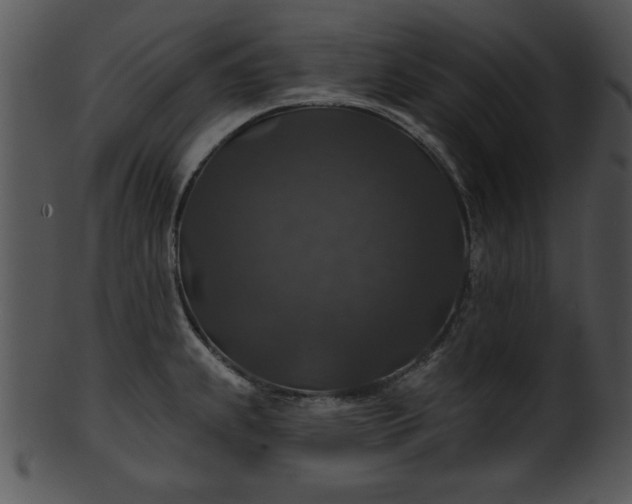 X0000101451239200807141236