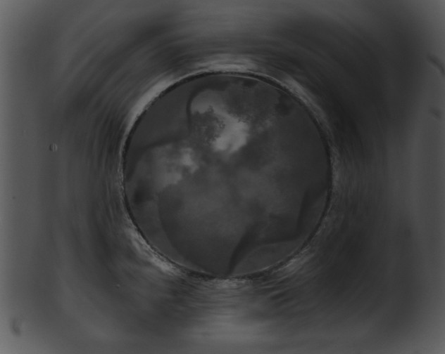 X0000101451240200807141236