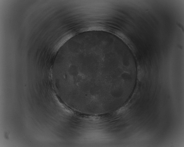 X0000101451241200807141236