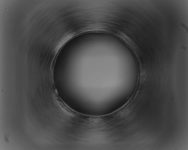 X0000101451242200807141236