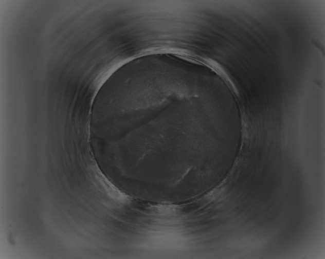 X0000101451244200807141236