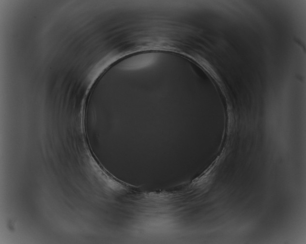 X0000101451246200807141236