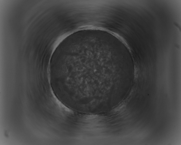 X0000101451247200807141236