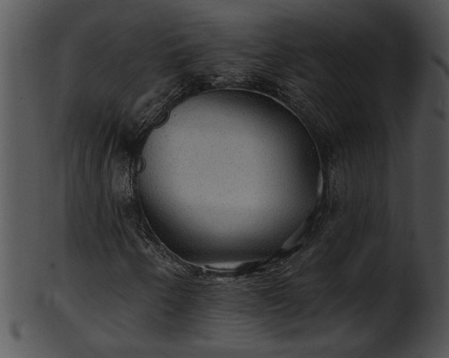 X0000101451250200807141236