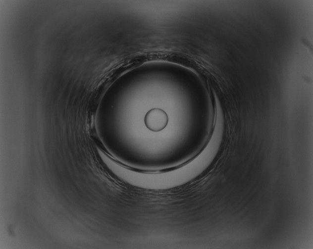 X0000101451252200807141236