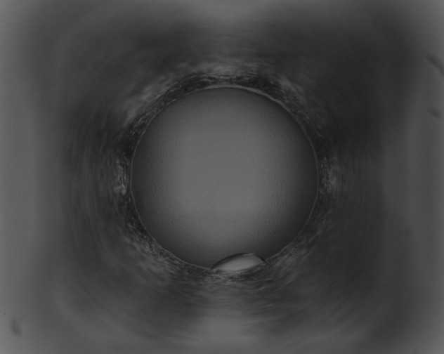 X0000101451253200807141236