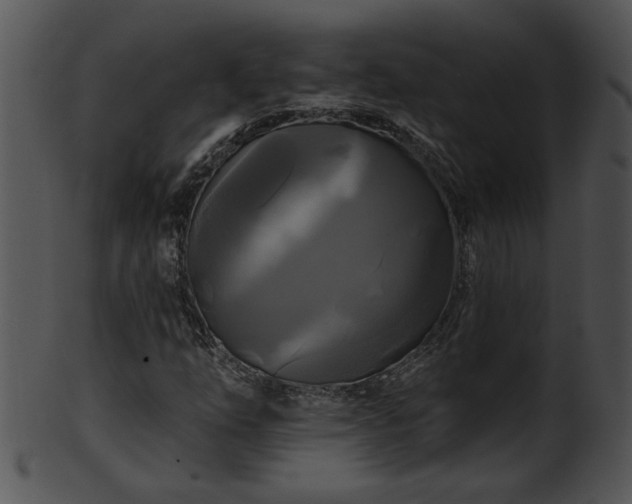 X0000101451254200807141236