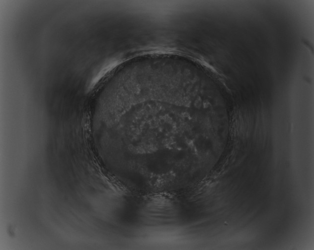 X0000101451255200807141236