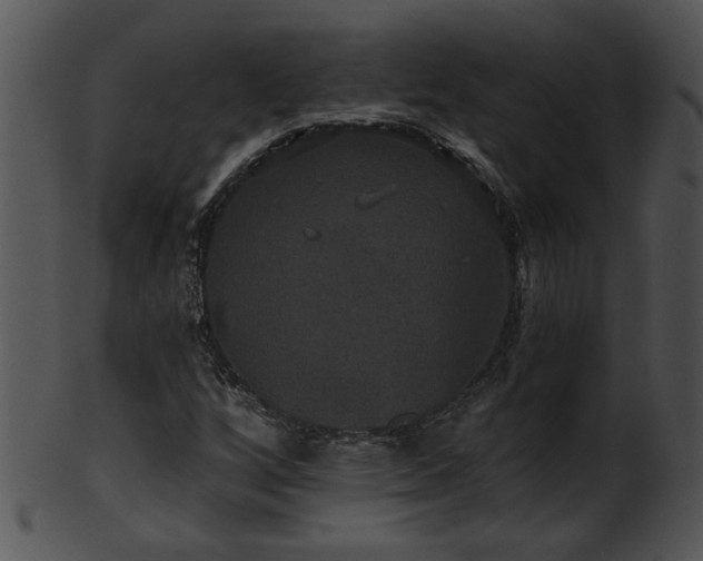 X0000101451256200807141236