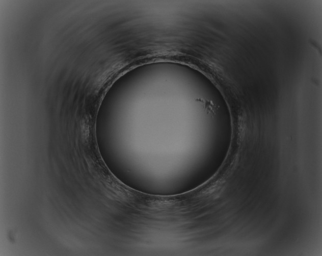 X0000101451257200807141236