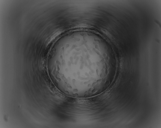 X0000101451258200807141236